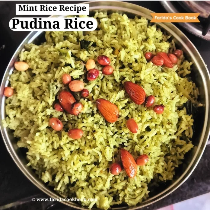 pudina rice 1